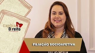 Explica Direito Filiação Socioafetiva  2019 [upl. by Tullus643]